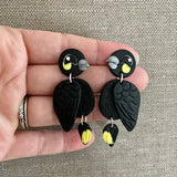Black Cockatoo Earrings