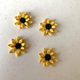 Black Sunflower Collection