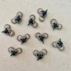 Koala studs